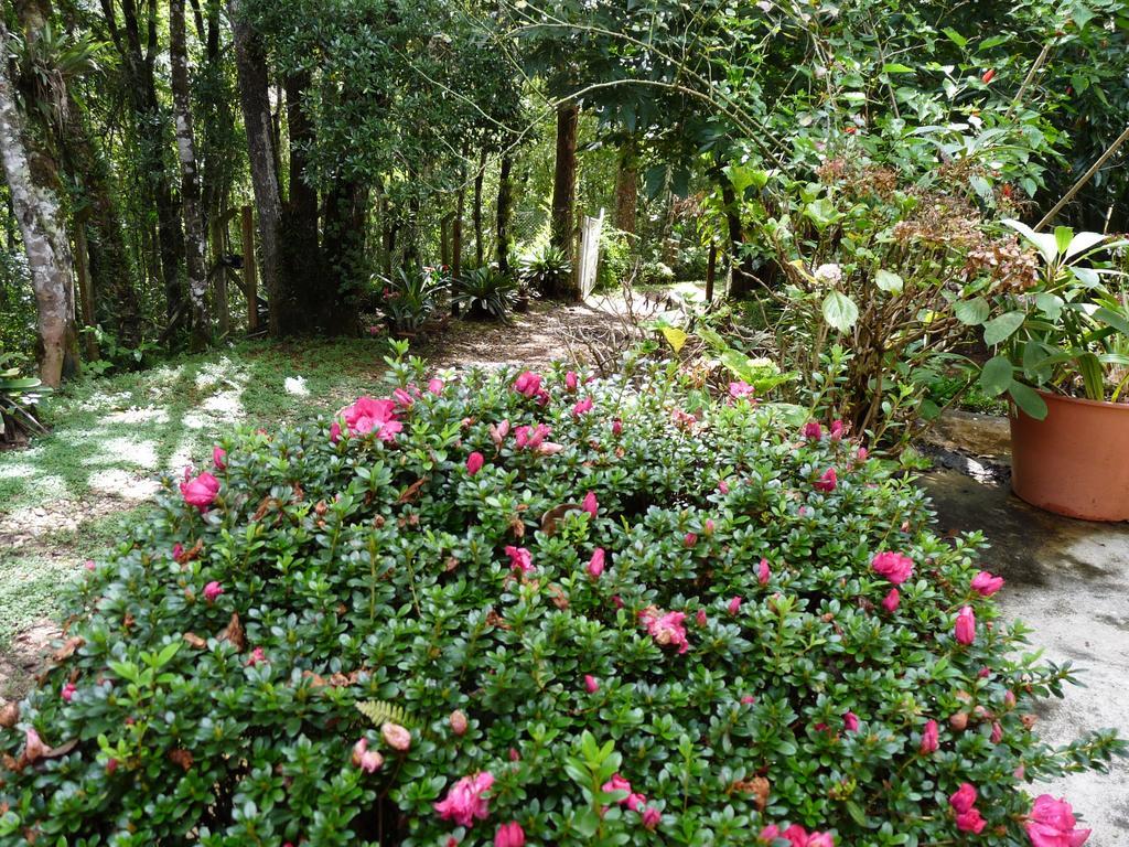 Aromas Da Serra II Campos do Jordão Exterior foto